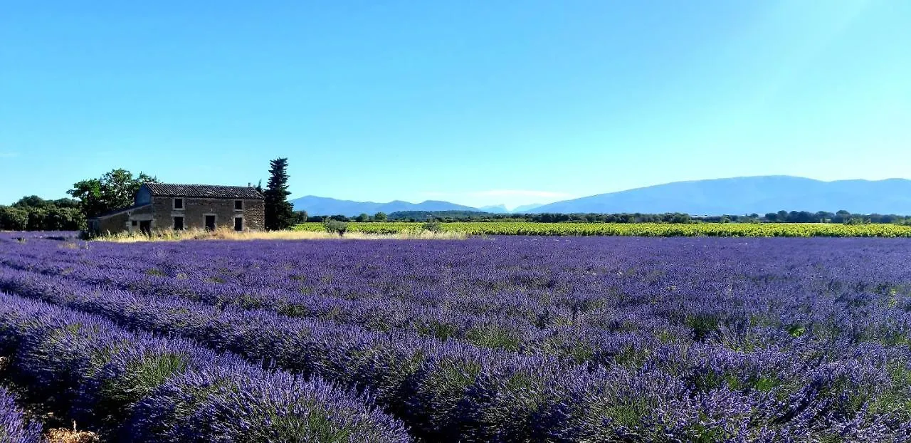 Holiday home L'Instant Provence Villa Valreas