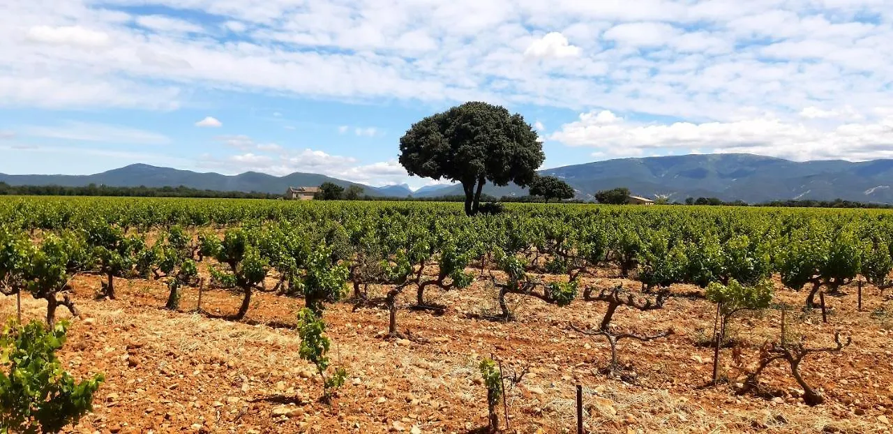 L'Instant Provence Villa Valreas Holiday home