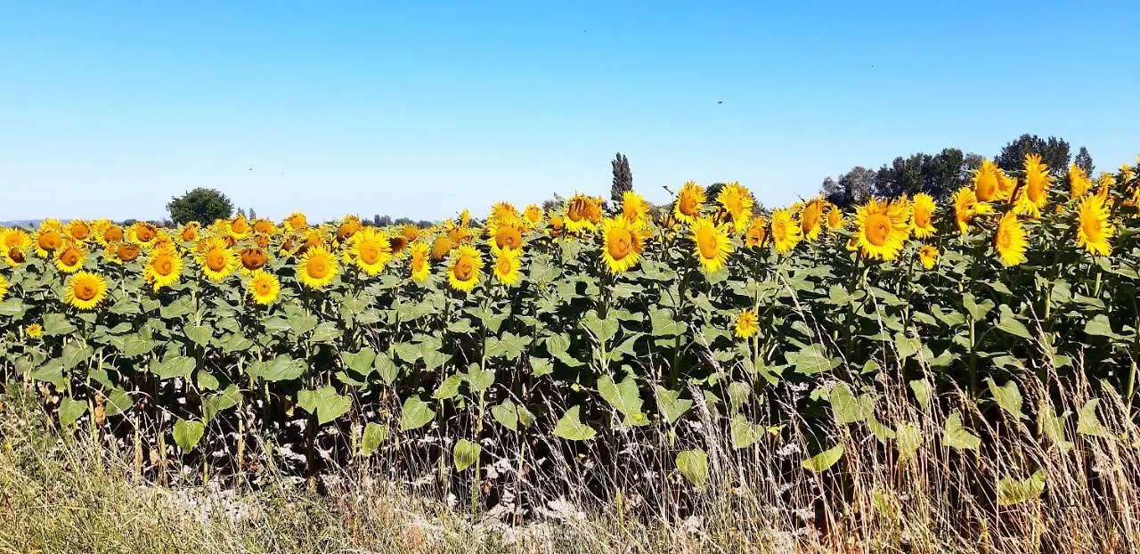 Villa L'Instant Provence à Valréas
